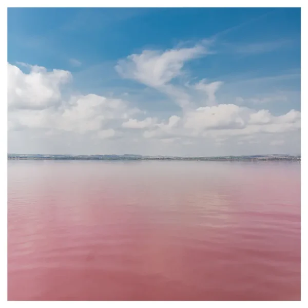 Laguna Rosa