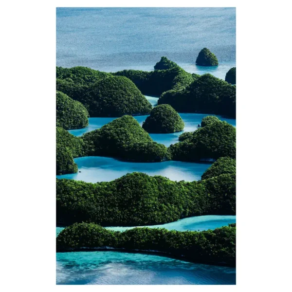 Palau #1