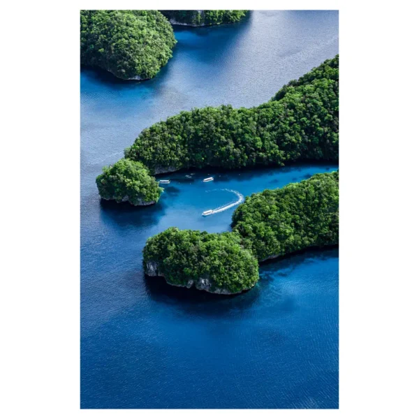 Palau #2
