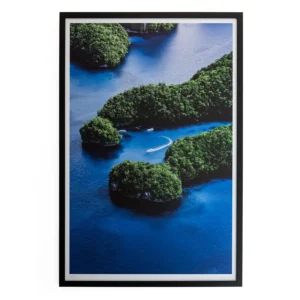 Palau #2