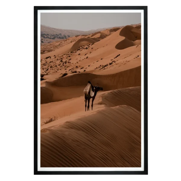 flokkmann-art-prints_oman_innrammet Bidiyah, Oman