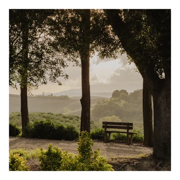 flokkmann-art-prints_toscana Toscana, Italia