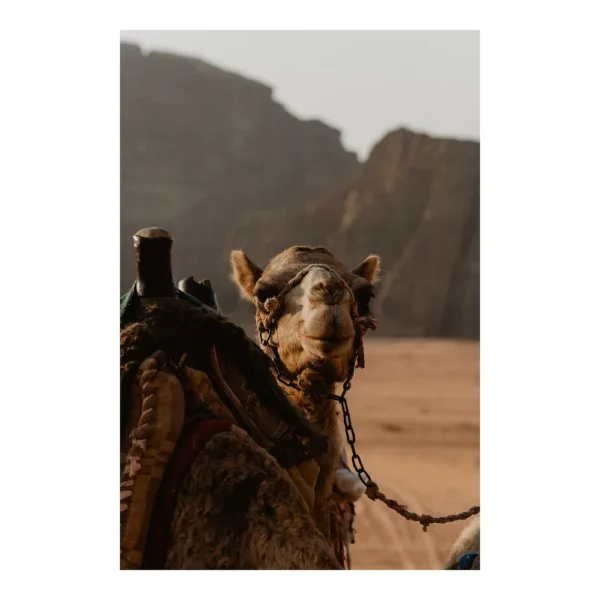 flokkmann-art-prints_wadi-rum Wadi Rum, Jordan