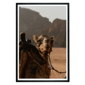 Wadi Rum, Jordan